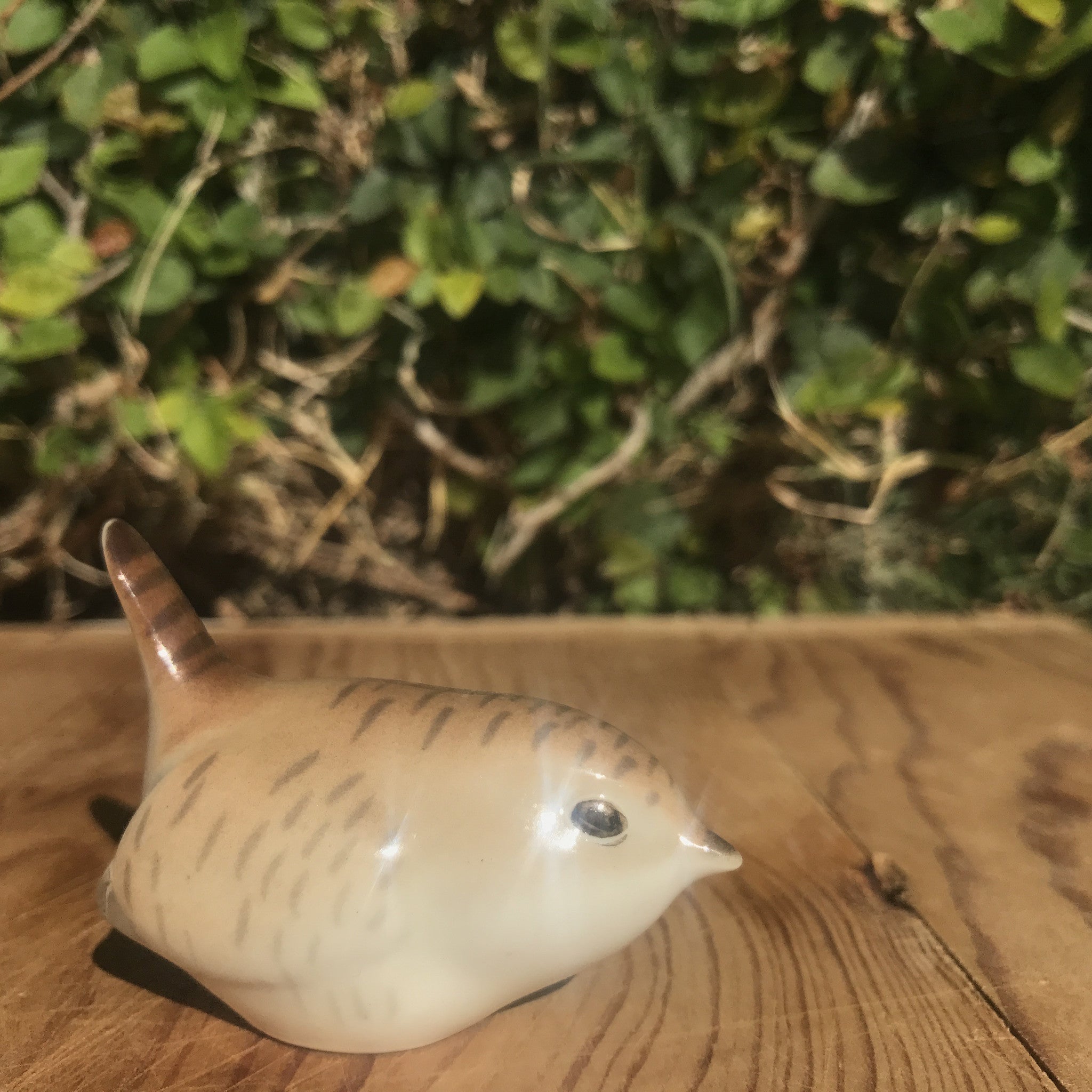 hand painted USSR wren